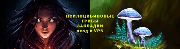 герыч Магас