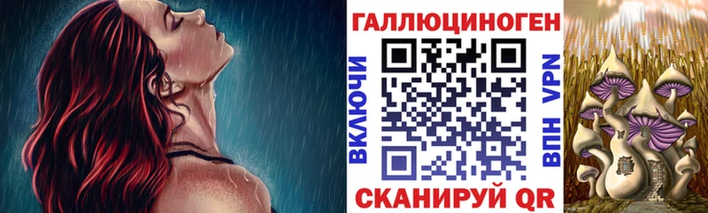 купить закладку  Еманжелинск  OMG зеркало  Псилоцибиновые грибы Cubensis 