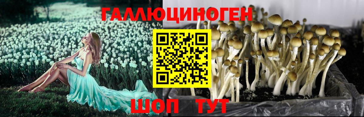 Еманжелинск  Галлюциногенные грибы MAGIC MUSHROOMS  Вход с VPN 